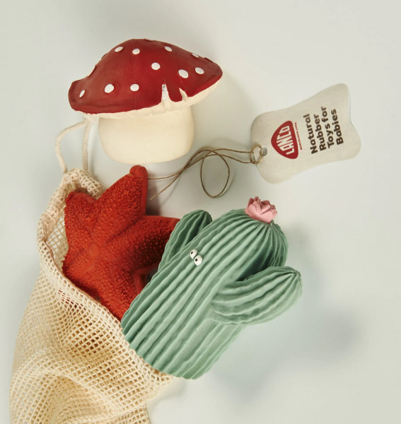 Mushroom & Co - Naturkautschuk Badespielzeug - Seestern & co
